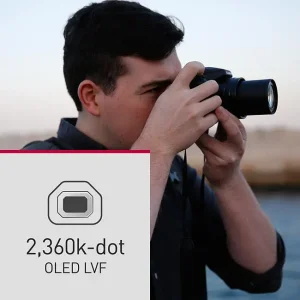 Panasonic Lumix DC-FZ82D - Image 11