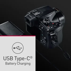 Panasonic Lumix DC-FZ82D - Image 14