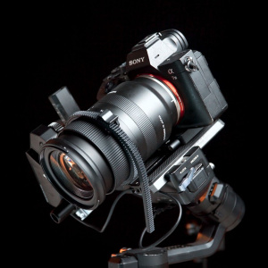 YC Onion Hotdog 3.0 Motorized Slider - Image 3