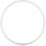 Falcon Eyes Reserve Ringlamp For FLC-65 65W