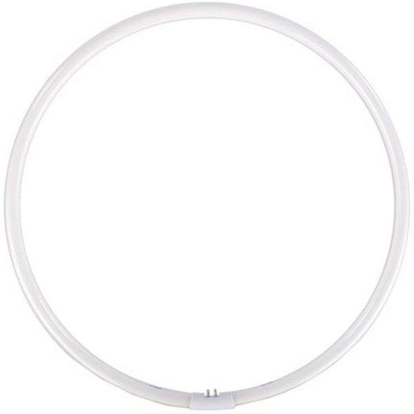 Falcon Eyes Reserve Ringlamp For FLC-65 65W