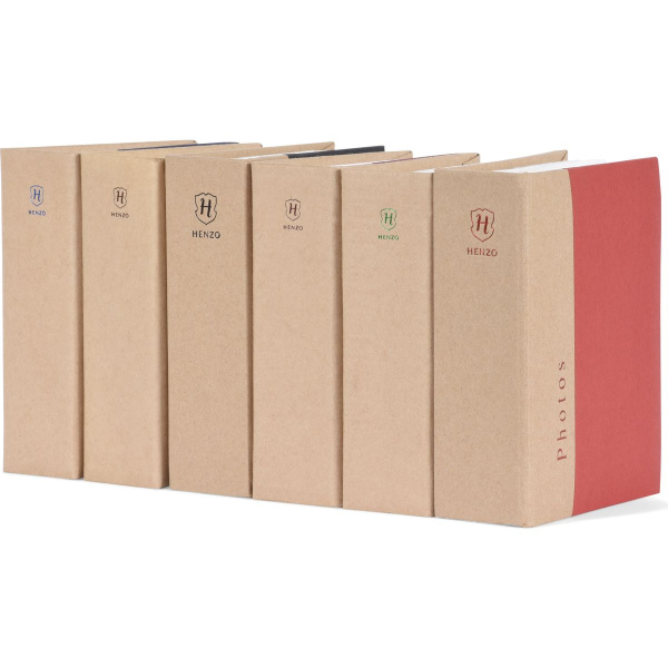 Henzo Minimax 100F Chapter