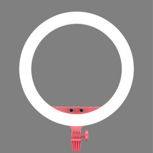 Godox LR150 LED Ring Light Pink - Image 3