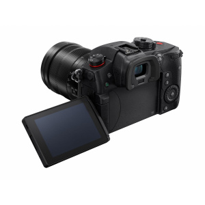 Panasonic LUMIX GH5 II + 12-60mm f/2.8-4.0 - Image 4