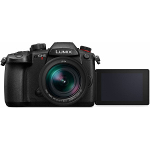 Panasonic LUMIX GH5 II + 12-60mm f/2.8-4.0 - Image 5