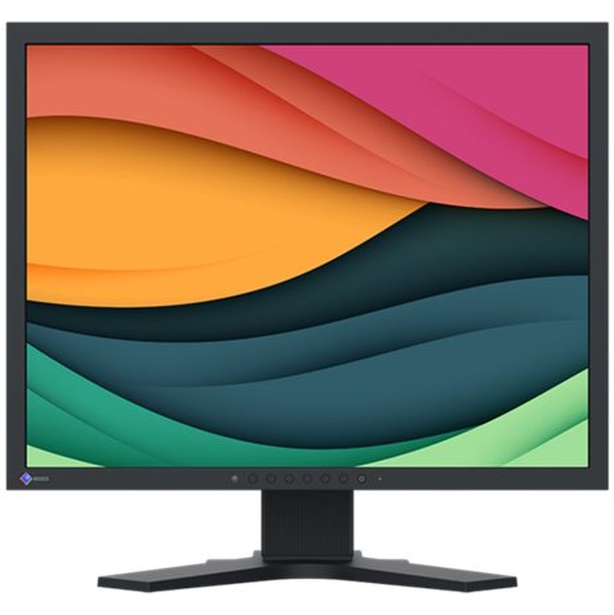 EIZO FlexScan S2134 Grey