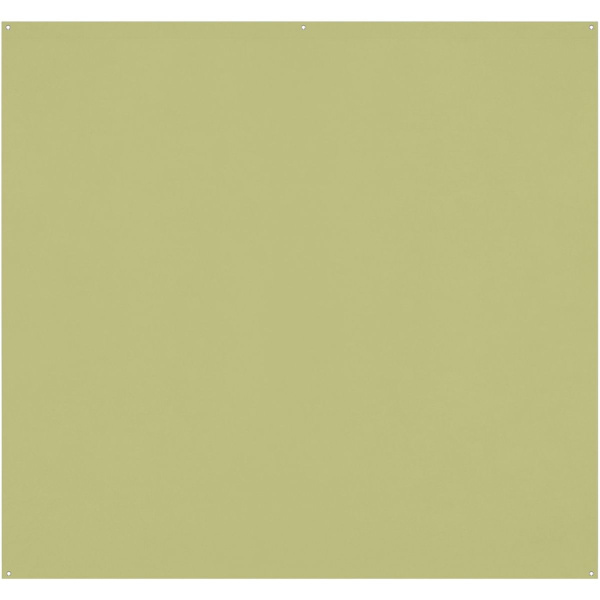 Westcott X-Drop Pro Wrinkle-Resistant Background - Mos Green (2.4 X 2.4 M)