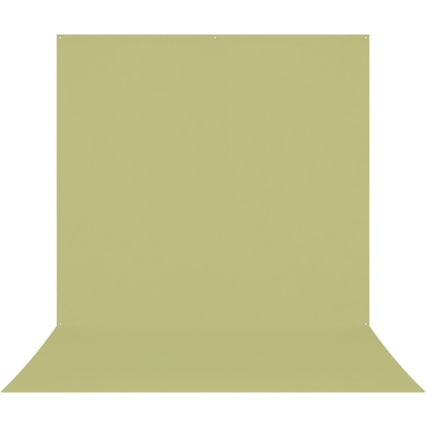 Westcott X-Drop Pro Wrinkle-Resistant Background - Mos Green Sweep (2.4 X 4 M)