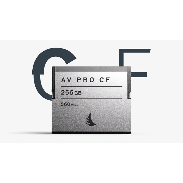 Angelbird AV Pro CF SE 256 GB
