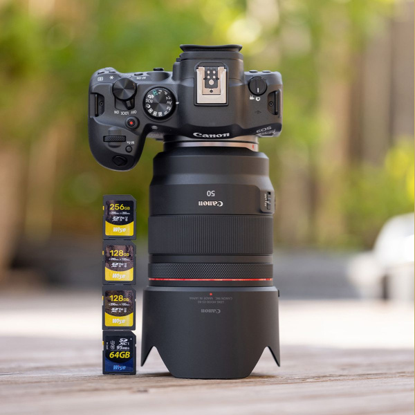 Wise 1TB SDXC UHS II V60 Memory Card